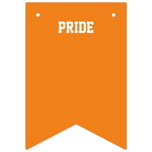 PRIDE GAY LGBTQ bunting banner (Tweede vlag)