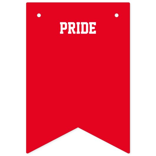 PRIDE GAY LGBTQ bunting banner (Eerste vlag)