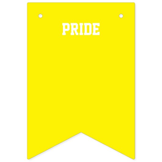 PRIDE GAY LGBTQ bunting banner (Derde vlag)