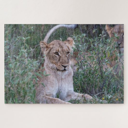 Pride Guardian – Rustende Leeuwin Legpuzzel (Horizontaal)