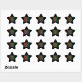PRIDE II Ster Stickers (Vel)