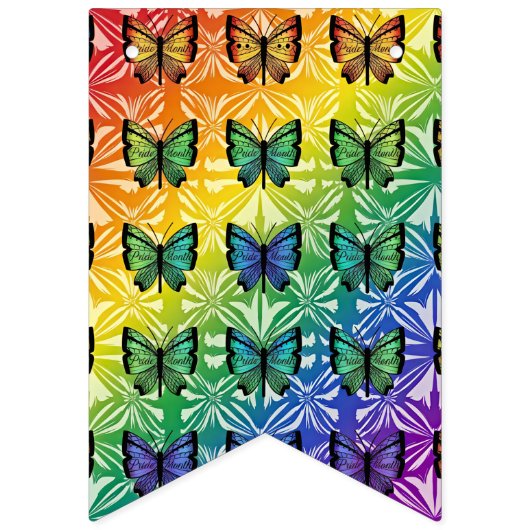 Pride in Flight Collectie Vlaggetjes (Tweede vlag)