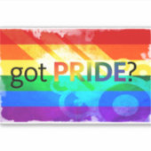 Pride LGBT Flag Oval Window Decaal Sticker (Voorkant)