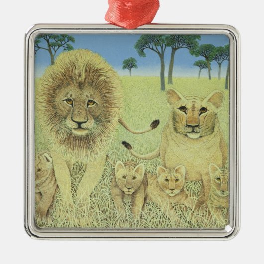 Pride Metalen Ornament (Voorkant)