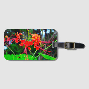 Pride of Barbados   Bagagelabel