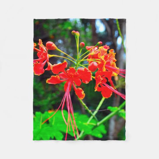 Pride of Barbados Fleece Deken (Voorkant)