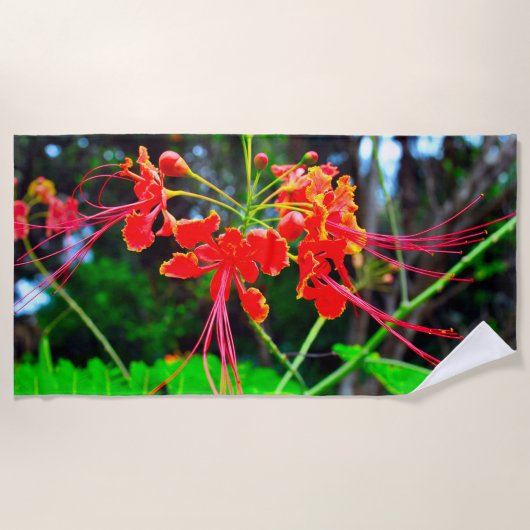 Pride of Barbados   Strandlaken (Voorkant)