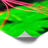 Pride of Barbados Stretched Canvas Print (Hoek)