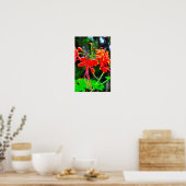 Pride of Barbados Stretched Canvas Print (Keuken)