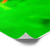 Pride of Barbados Stretched Canvas Print (Hoek)