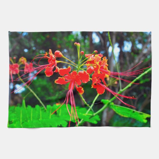 Pride of Barbados Theedoek (Horizontaal)