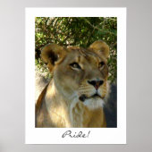 Pride! Poster (Voorkant)