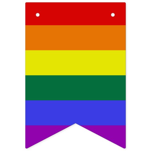 Pride Rainbow Bunting Vlaggetjes (Tweede vlag)