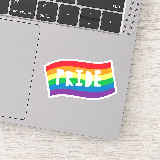 Pride Rainbow Flag Sticker (Detail)