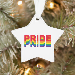 Pride regenboogretro kleuren homo's kerstster ornament
