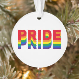 Pride regenboogretro kleuren homoseksuele kerst ornament