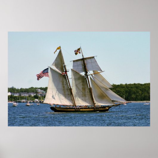 Pride van Baltimore II Tall Ship Poster (Voorkant)