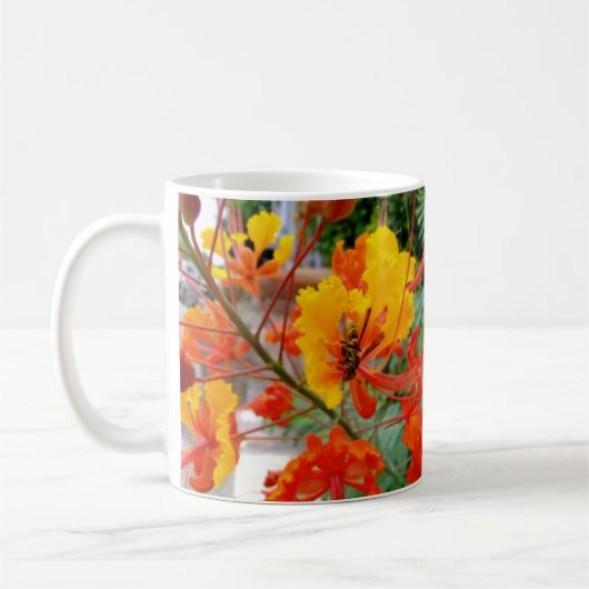 Pride van Barbados Koffiemok (Links)