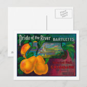 Pride van de perenkrat LabelLocke, CA Briefkaart (Voorkant / Achterkant)