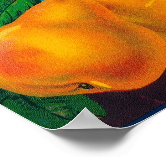 Pride van de perenkrat LabelLocke, CA Poster (Hoek)