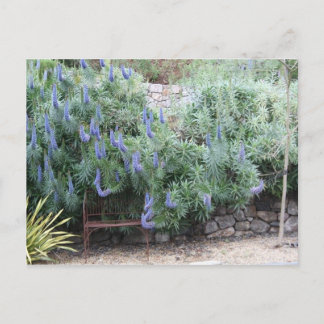 Pride van het briefkaart Madeira