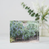 Pride van het briefkaart Madeira (Staand voorkant)