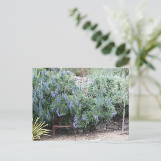 Pride van het briefkaart Madeira (Staand voorkant)