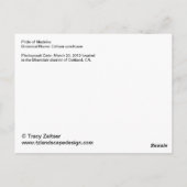 Pride van het briefkaart Madeira (Achterkant)