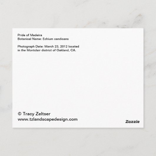 Pride van het briefkaart Madeira (Achterkant)