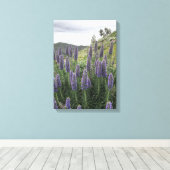 Pride van Madeira (Ranquitte, Haïti) Canvas Afdruk (Insitu (Houten vloer))