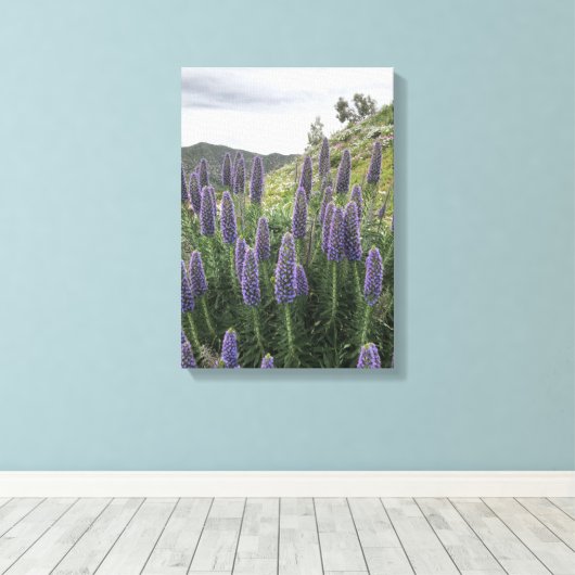 Pride van Madeira (Ranquitte, Haïti) Canvas Afdruk (Insitu (Houten vloer))