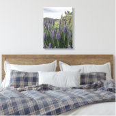 Pride van Madeira (Ranquitte, Haïti) Canvas Afdruk (Insitu (Slaapkamer))