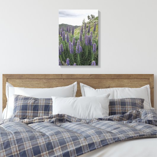 Pride van Madeira (Ranquitte, Haïti) Canvas Afdruk (Insitu (Slaapkamer))