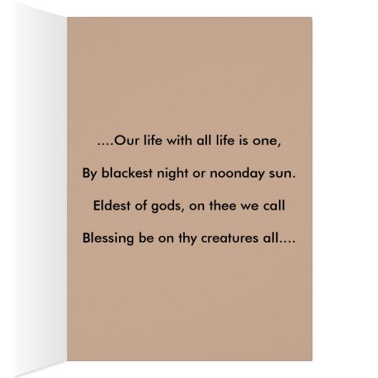 Priest van het wilde hout bij de vaste steen (Binnen (Rechts))