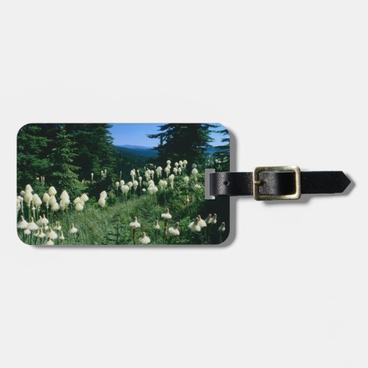 Priesterlandschap gepersonaliseerd bagagelabel (Voorkant horizontaal)