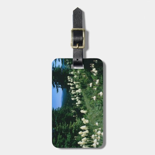 Priesterlandschap gepersonaliseerd bagagelabel (Voorkant verticaal)