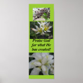 Prijs God voor wat hij heeft gecreëerd! Poster (Voorkant)