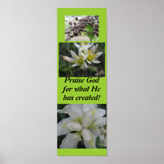 Prijs God voor wat hij heeft gecreëerd! Poster