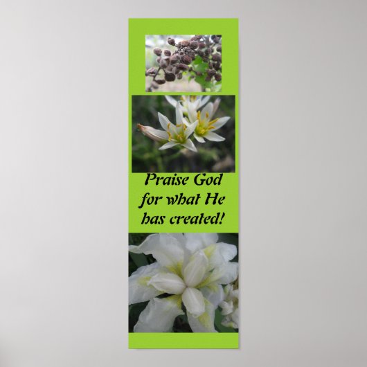 Prijs God voor wat hij heeft gecreëerd! Poster (Voorkant)