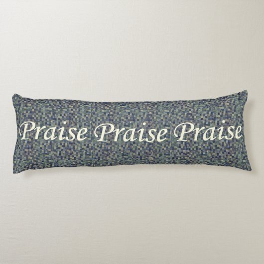 Prijs tussen de panelen lichaamskussen (Achterkant)