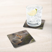 Prijs van de eekhoorn kartonnen onderzetters (Insitu)