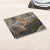 Prijs van de eekhoorn kartonnen onderzetters (Schuin)