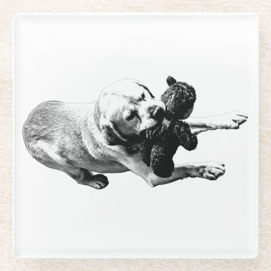 prijsgreep glazen onderzetter (Voorkant)