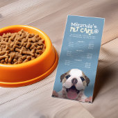 Prijslijst met lage poly Dog Pet Care Grooming Reclamekaart