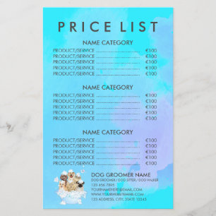 Prijslijst Teal Pet Grooming Honden Kat Spa Flyer