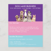 Prijslijst voor Dog Grooming paarse blauw Roze Flyer (Achterkant)