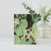 Prijsperen, briefkaart (Staand voorkant)