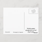 Prijsperen, briefkaart (Achterkant)