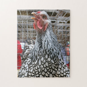 Prijswinnende Kip Legpuzzel
