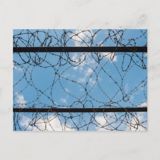 Prikkeldraad bij Amna Suraka Briefkaart (Voorkant)